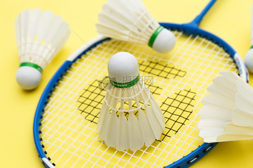 这种理念或 这种理念或