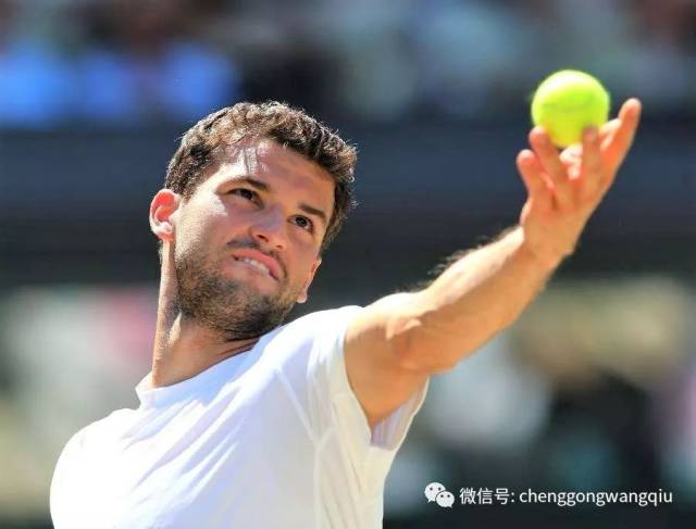 科莫的球迷 科莫的球迷